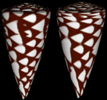 Cones.gif 16K